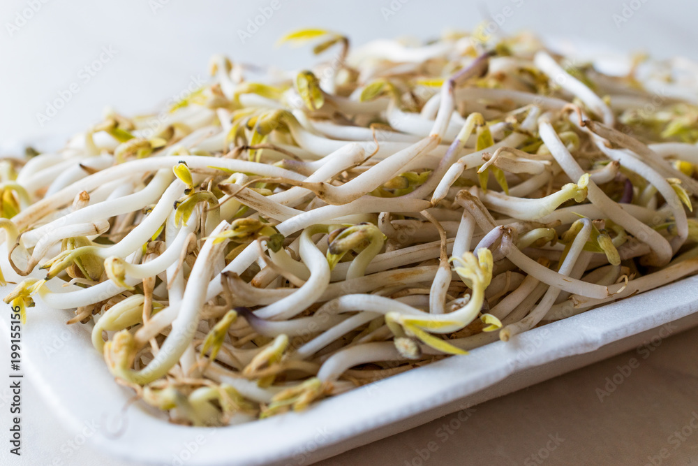 Package of Bean Sprouts / Mungbean or Soybean Package of Bean Sprouts / Mungbean or Soybean