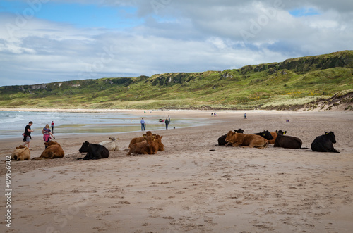 white park bay  Irlanda magnifica spiaggia Irlandese 