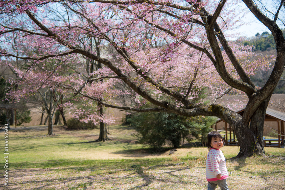 ・笑顔・桜・赤ちゃん ・笑顔・桜・赤ちゃん