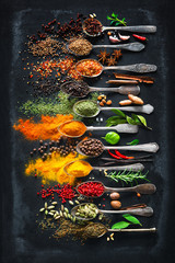 Foto auf Leinwand Küche Kräuter und Gewürze zum Kochen auf dunklem Hintergrund  © Alexander Raths