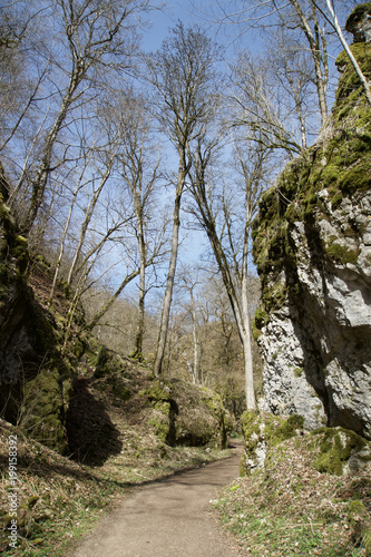 Wanderweg im Wolfstal