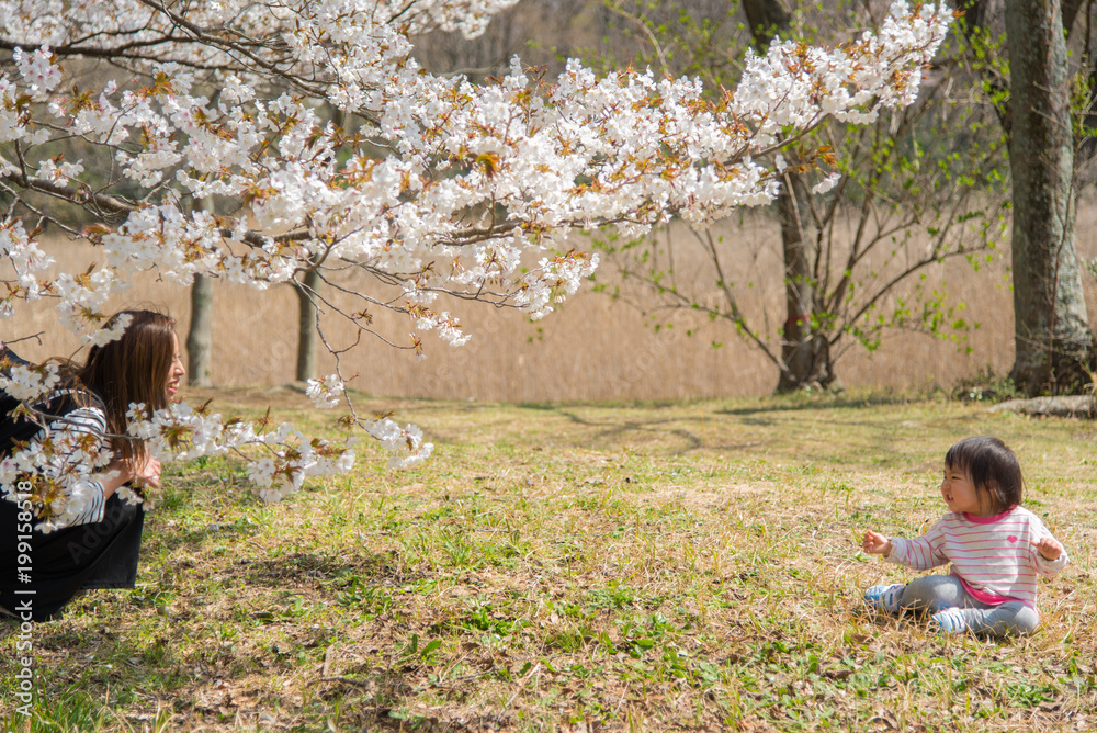 ・桜・親子・二人 ・桜・親子・二人