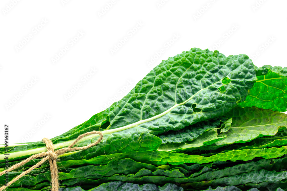Naklejka premium Bunch of organic kale, Lacinato Kale, freshly harvested isolated on white background with copy space. Kale is a super food, Healthy raw eating.