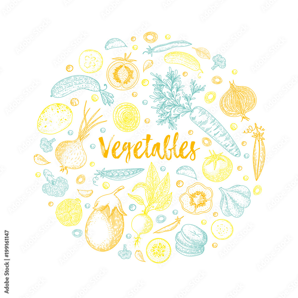 Organic food design template. Fresh colorful vegetables. Detailed vegetarian food drawing. Farm market product. Great for label, design menu, recipes, poster, packaging design, wrapping paper.