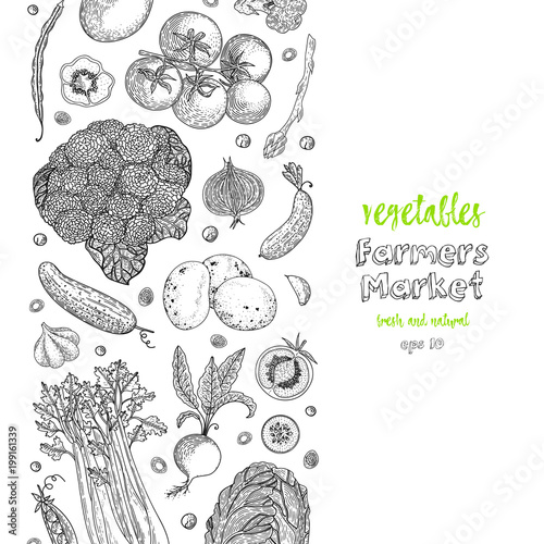 Organic vegetables food banners. Healthy food. Engraving sketch vintage style. Vegetarian food for design menu, recipes, decoration kitchen items. Great for label, poster, packaging design.