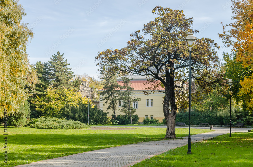 Villa near the park in Novi Sad - Serbia 