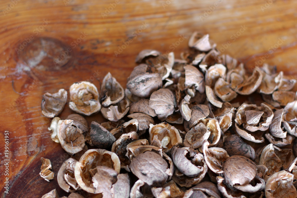 Walnut shell background Walnut shell background