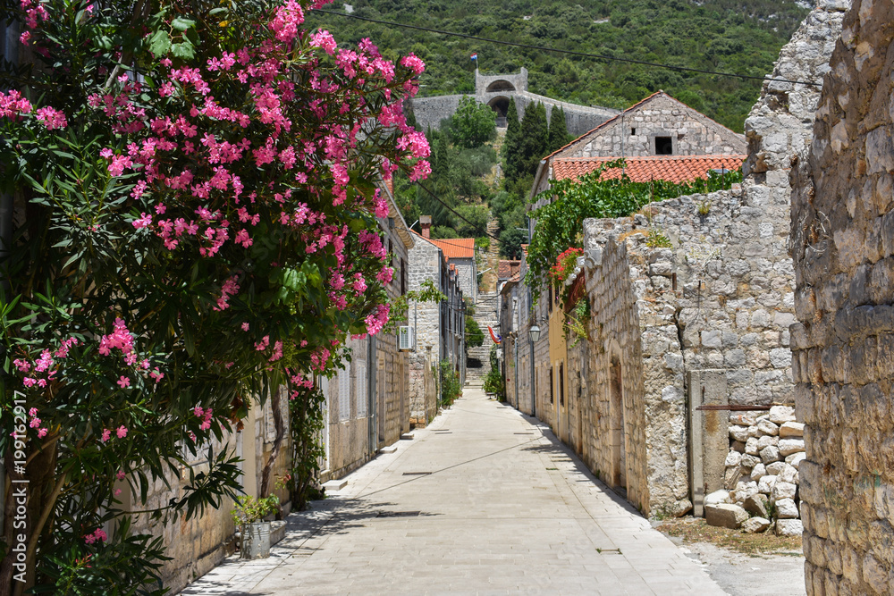  narrow romantic street between houses  in village in croatia 