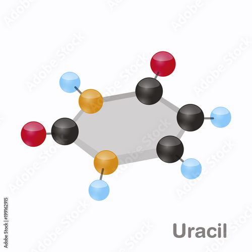 Uracil HexNut, U. Pyrimidine nucleobase molecule. Present in DNA. 3D vector illustration on white background