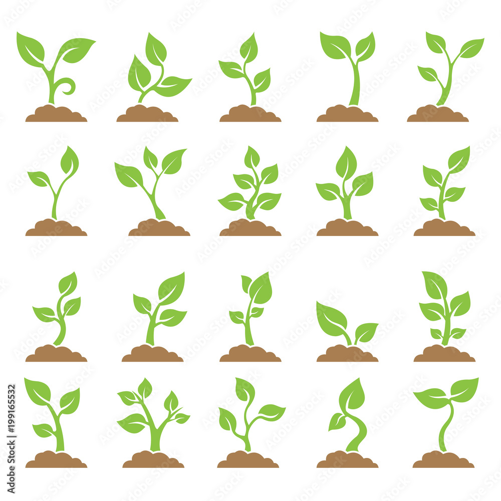 Fototapeta premium Set of planted seedlings in the ground. Icons. Vector illustration on white background