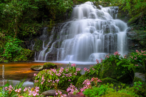 Fototapeta Naklejka Na Ścianę i Meble -  Mun daeng Waterfall, the beautiful waterfall in deep forest at Phu Hin Rong Kla National Park ,Phitsanulok, Thailand