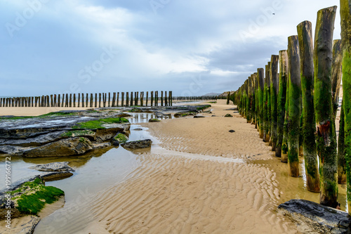 Wooden breakwater ons beach of Wissant, cote opale, France photo