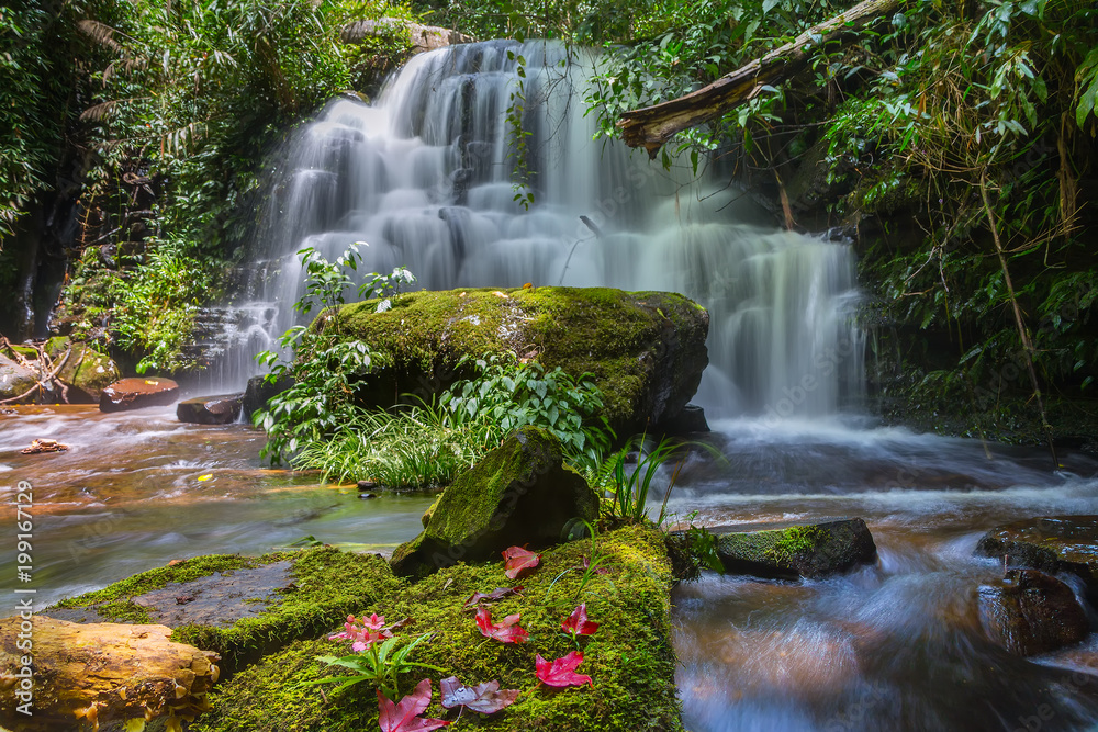 Fototapeta Mun daeng wodospad, piękny wodospad w głębokim lesie w Phu Hin Rong Kla National Park, Phitsanulok, Tajlandia