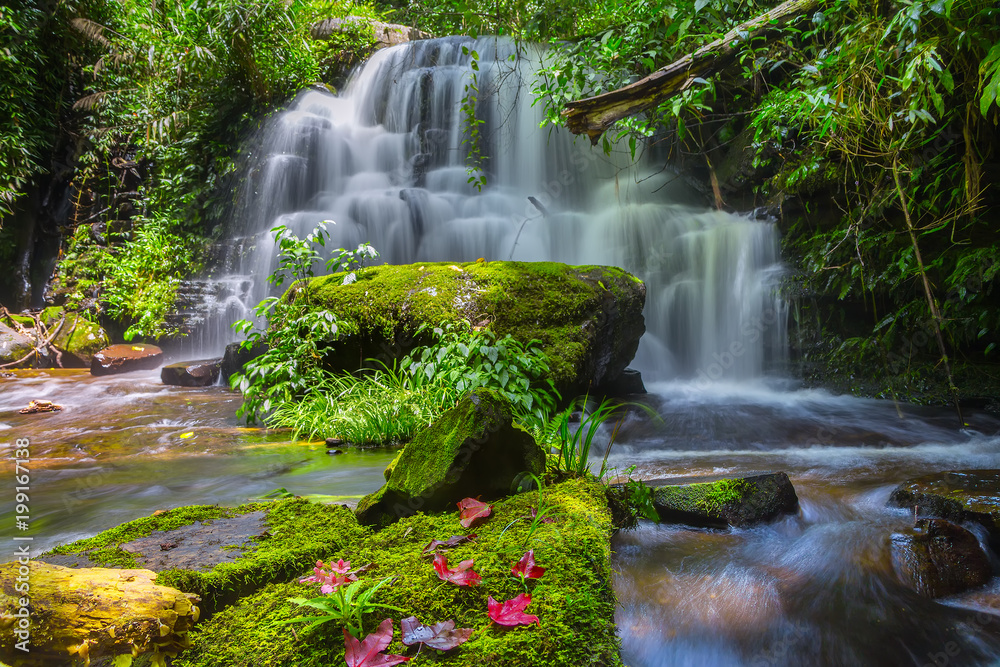 Fototapeta Mun daeng wodospad, piękny wodospad w głębokim lesie w Phu Hin Rong Kla National Park, Phitsanulok, Tajlandia