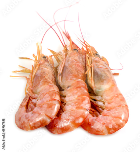 Fresh prawn or fresh shrimp, red shrimps isolated on white background, Food background.