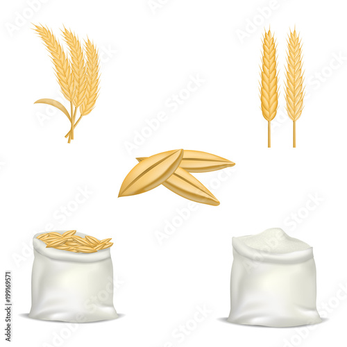 Barley wheat hops mockup set, realistic style