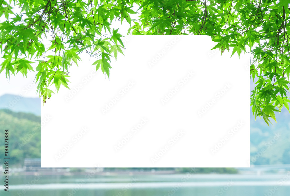 Closeup white space frame by beautiful green leaves with blurred mountain and lake view background