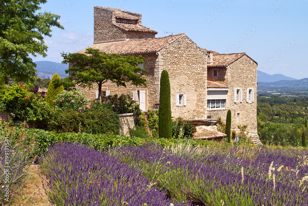 Fototapeta premium Piękny dom położony jest w pobliżu kwitnącej lawendy w Prowansji, we Francji.