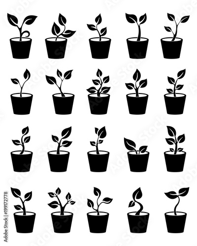 Wallpaper Mural Set of planted seedlings in the ground. Icons. Vector illustration on white background Torontodigital.ca