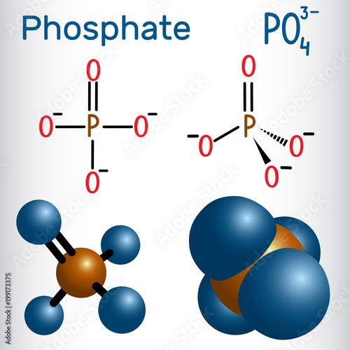 Phosphate anion molecule .  Structural chemical formula and molecule model photo
