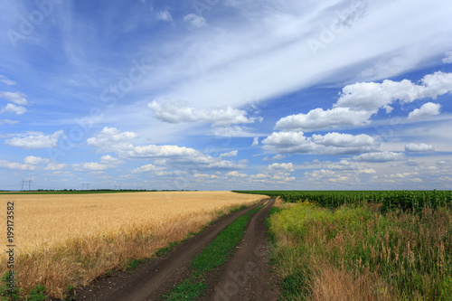 Dirt road through the fields