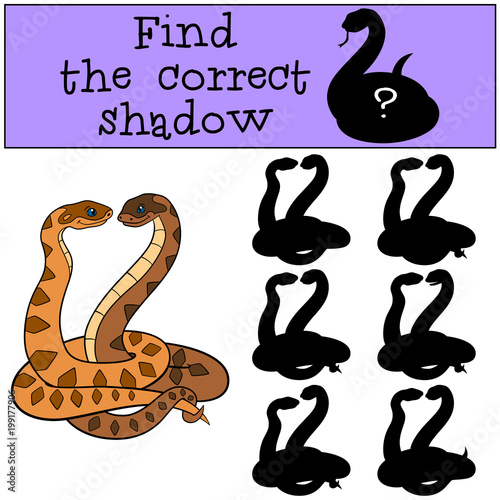 Educational game: Find the correct shadow. Little cute viper.