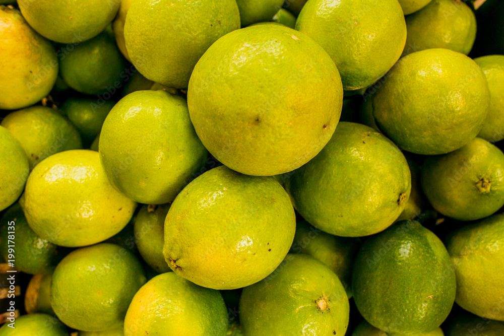 Lemons in Viota