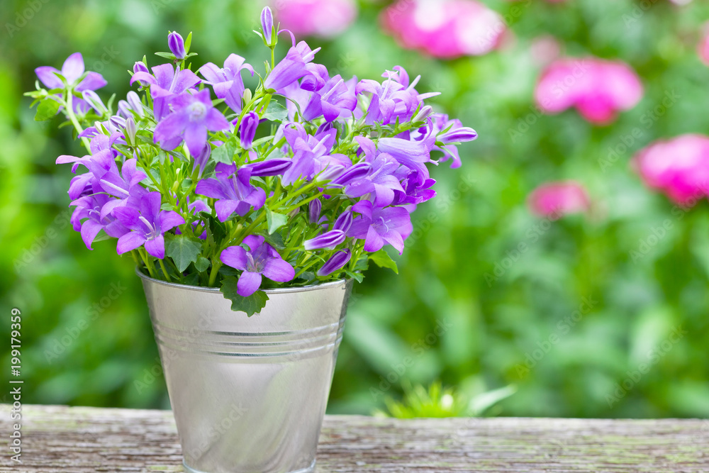 Bouquet of purple flowers in small bucket against garden full of blurred flowers