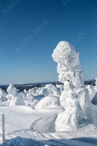 Winter landscape. The snow-clad trees on Mount Nuorunen. The Republic of Karelia. Russia