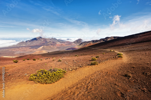 Wide volcanic landscape with lava fields in different colors, wide view, ocher shades, reds, trail, plants in the foreground, blue sky - Location: Hawaii, Island Maui, volcano 