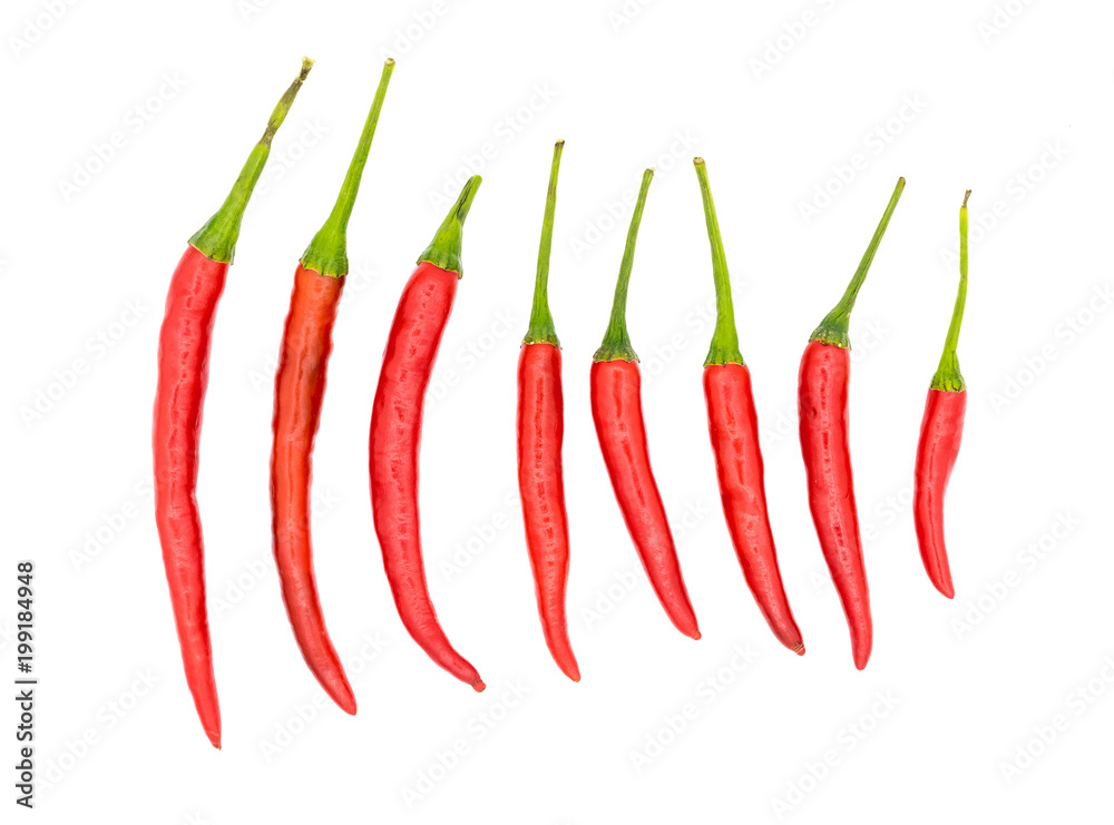 Chili pepper isolated on a white background Chili pepper isolated on a white background