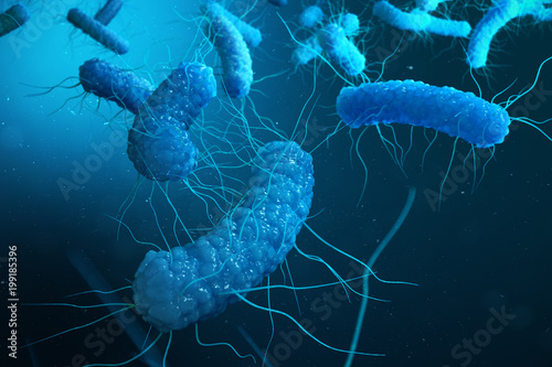 Enterobacterias Gram negativas Proteobacteria, bacteria such as salmonella, escherichia coli, yersinia pestis, klebsiella. 3D rendering photo