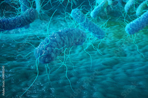 Enterobacterias Gram negativas Proteobacteria, bacteria such as salmonella, escherichia coli, yersinia pestis, klebsiella. 3D rendering. photo