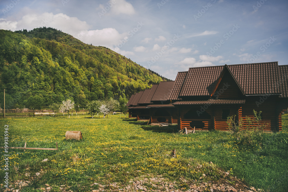 Fototapeta premium green dandelion field in mountains with wooden houses 2