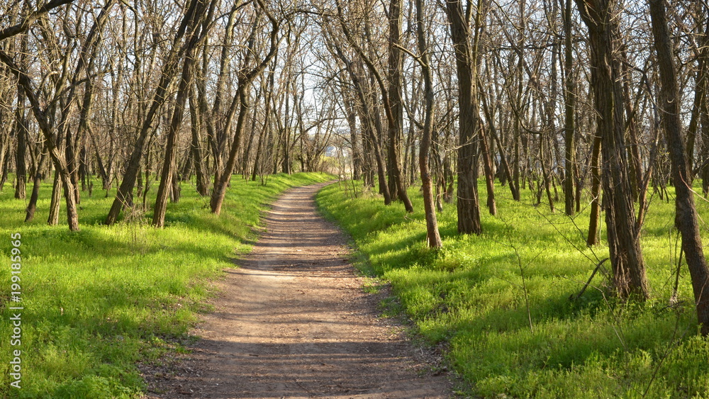 A path on the island of Khortytsya A path on the island of Khortytsya