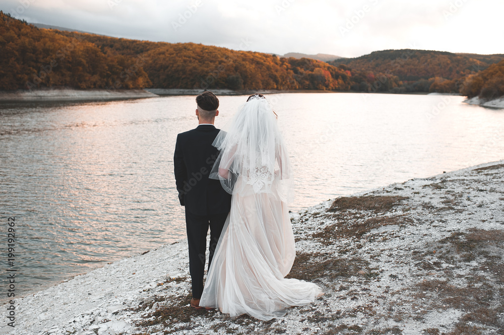Back view of bride and groom standing together looking forward outdoors. Wedding day. Back view of bride and groom standing together looking forward outdoors. Wedding day.