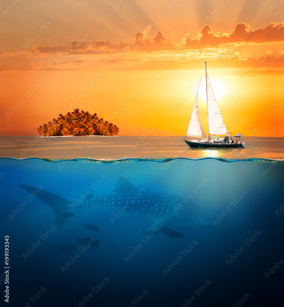 Naklejka premium Half underwater shot with shark, yacht and island