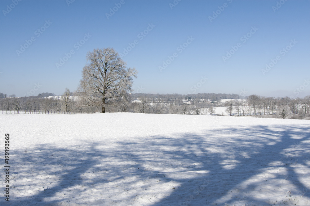 Fototapeta premium Prairie sous la neige