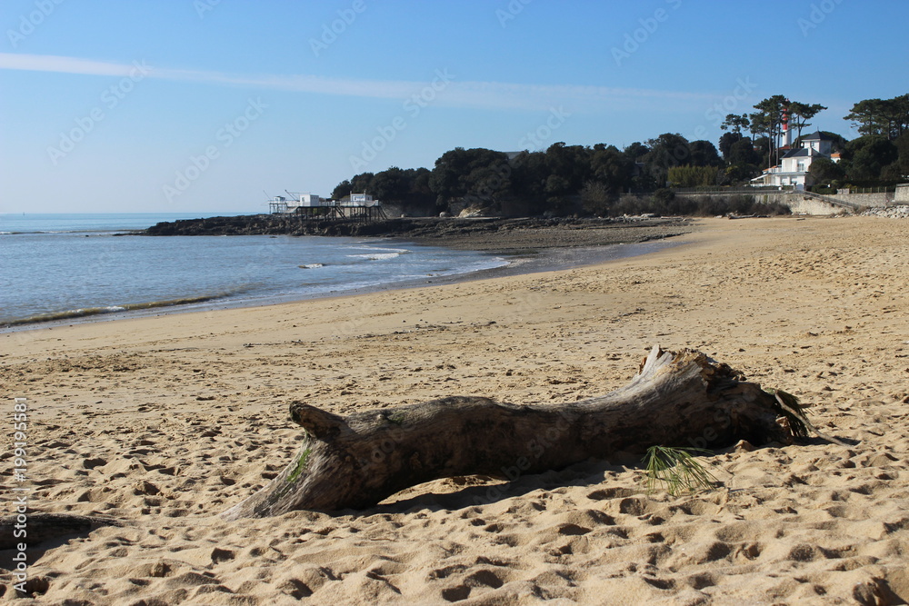 royan royan