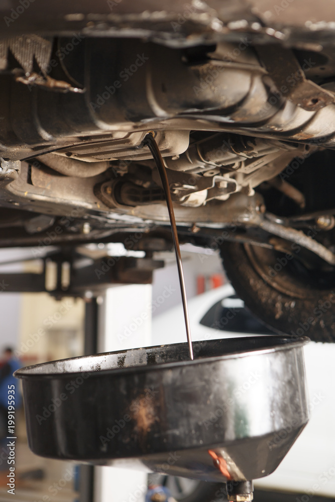Profecional car mechanic changing motor oil in automobile engine at ...