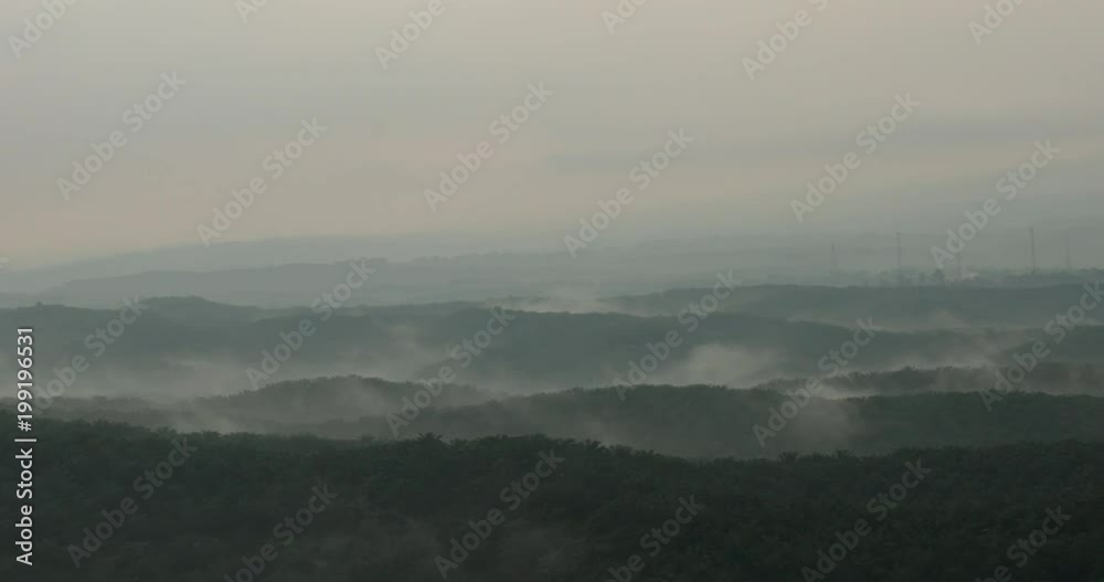 Stunning aerial landscape of foggy morning in Cikidang palm oil plantation at Sukabumi, West Java, Indonesia. Shot in 4k resolution Stunning aerial landscape of foggy morning in Cikidang palm oil plantation at Sukabumi, West Java, Indonesia. Shot in 4k resolution