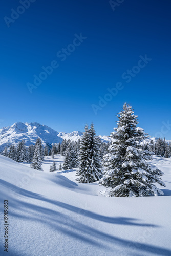 Winter in den Bergen © Netzer Johannes