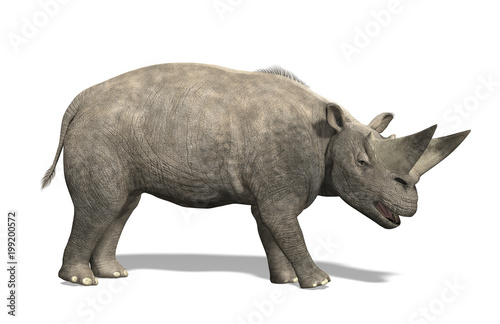 Arsinoitherium - Extinct Mammal photo