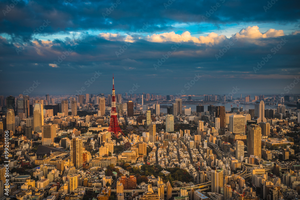 Tokyo aerial panoramic view