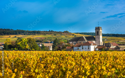 Chateau with vineyards in the autumn season, Burgundy, France