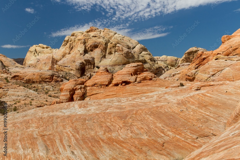 Fototapeta premium Valley of Fire 47