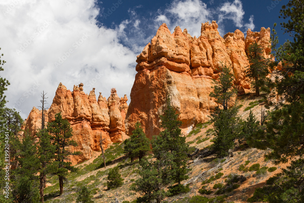 Naklejka premium Bryce Canyon 26
