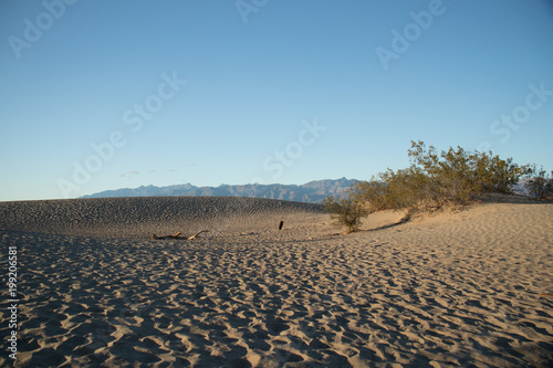 Mesquite Flat Dunes, Sand dunes at Death Valley National Park © Martina
