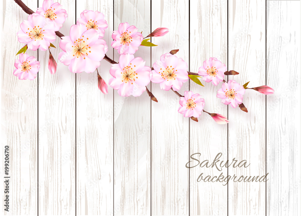 Nature spring background with beautiful blossoming sakura on wooden sign. Vector. Nature spring background with beautiful blossoming sakura on wooden sign. Vector.