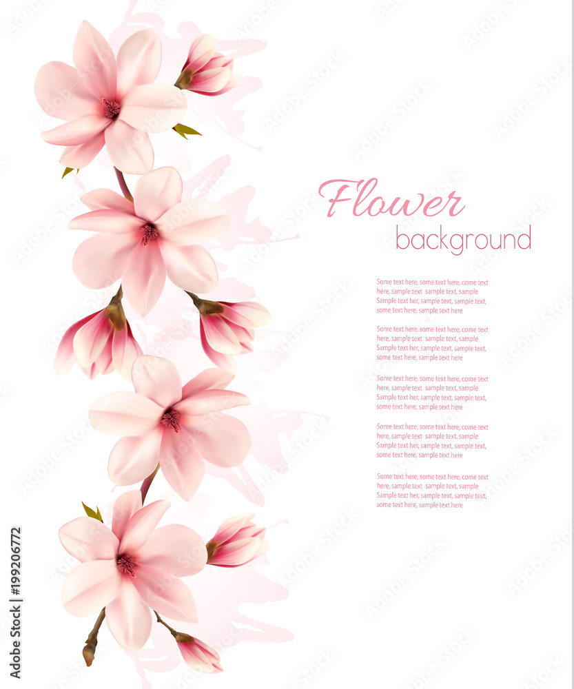 Nature spring background with beautiful magnolia branches. Vector.